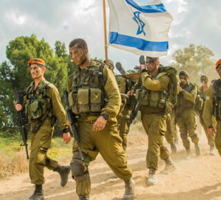 IDF_web
